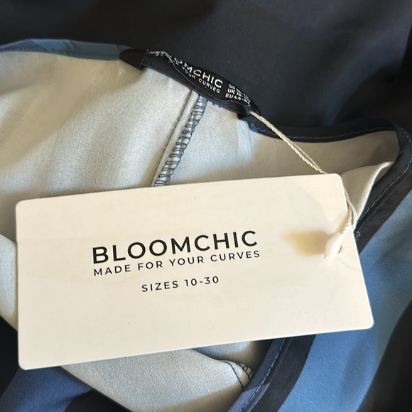 Bloom Chic NWT XL 14-16 Blue multi tone long sleeve striped v neck maxi dress - Picture 11 of 11